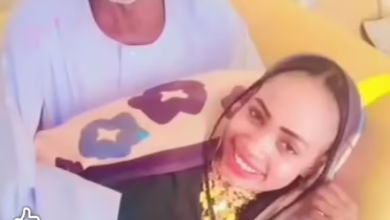 8a71c889 137f 455f b070 fbf69de8ede8