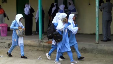 9c947cb603232ba3132dcf2bc4ee82e7 88950300 1.webp 1