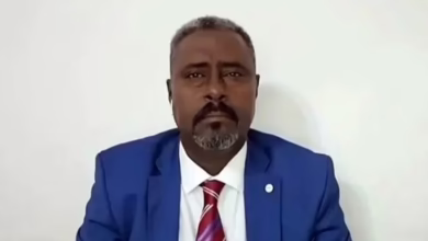 Screenshot 2024 07 25 084345 1140x633 1