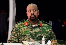 Screenshot 2024 12 17 162236 1 1140x684 1