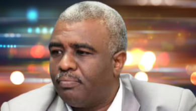 T401726750115483 1024x576 1