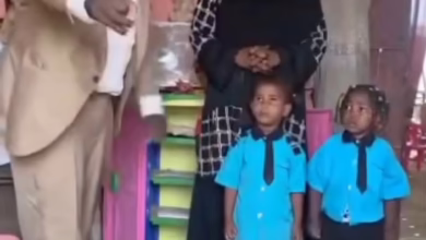 c503ac4c cde2 44b3 b1ea 3f6829a3405c