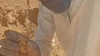 f3661950 afee 49b8 85ad 74557f3411d0