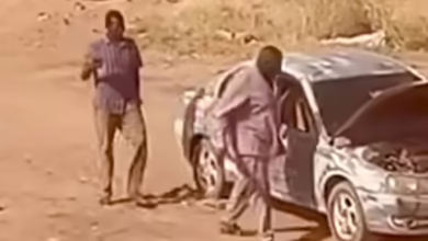 f523af19 1280 459d 939a 7115c72eb82c