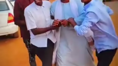 f760c23a cd95 411a a99c 8d6b0e3aa76c