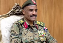 النور قبة جديد