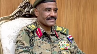 النور قبة جديد