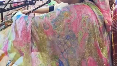 شاهد بالصورة والفيديو.. فنانة "دلوكة" صاعدة تخطف الأضواء وتسحب البساط من كبار المطربات 2 داليا جمال