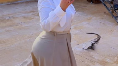 رانيا الخضر جديد2