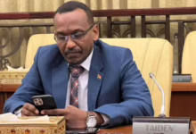 علاء الدين نقد