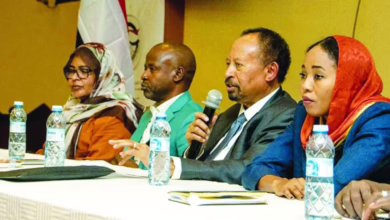 تحالف صمود يحذر من انهيار شامل في السودان 2 1238134 0.jpeg.webp 1140x635 1