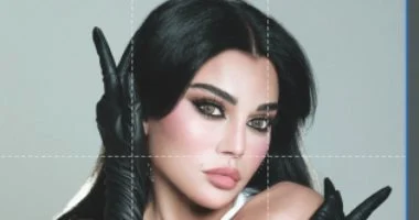 تعرف على تفاصيل أغنية هيفاء وهبى الجديدة شو المطلوب 2 202605231156585658 15632 1