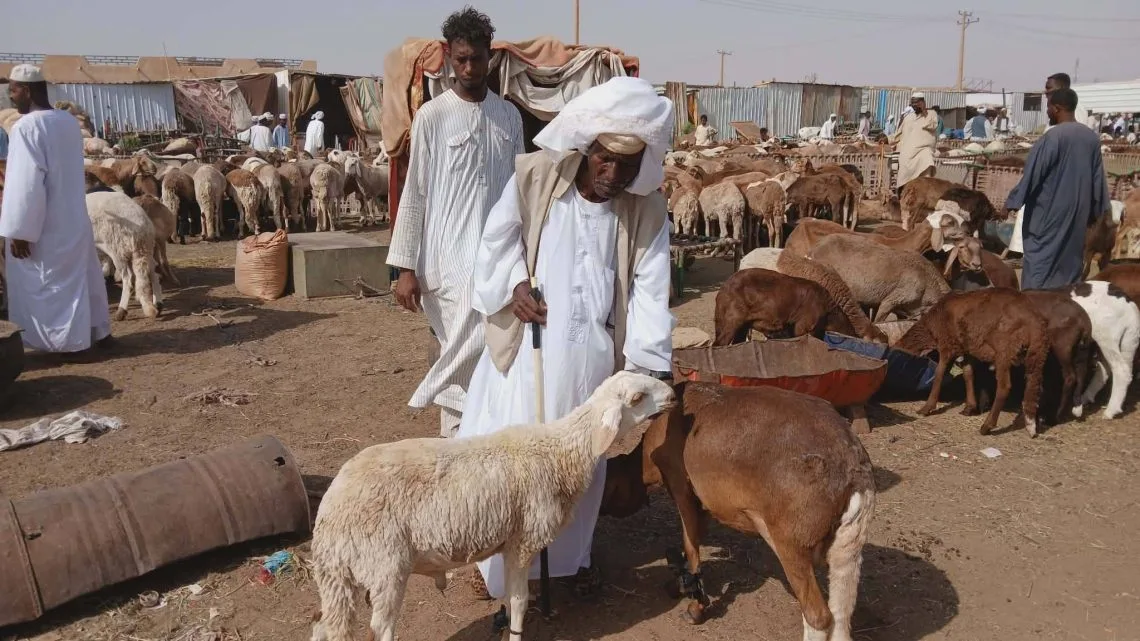 قبل العيد…تفاوت كبير في أسعار الأضاحي بالسودان 10 3344224 1140x641 1