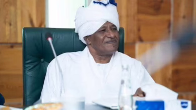 696695587 1010505884664450 6069619267493123432 n