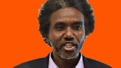 هل تقود الانشقاقات في السودان إلى تسوية؟ متحدث “صمود” يجيب 2 8877 1140x779 1