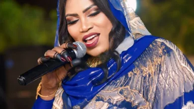 شاهد بالفيديو.. "دقلو فوق يا ناس".. الفنانة إنصاف مدني تثير غضب الجمهور وتتغزل في أسرة "حميدتي" خلال مهرجان "الإمارات تحب السودان" 2 إنصاف مدني