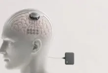 202606081219201920 181