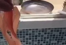 20260629104703473 238