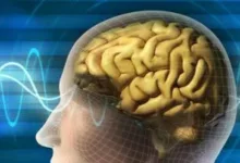 فقدان الذاكرة العابر.. حالة مؤقتة تحدث دون تلف دائم فى الدماغ 43 201906240122102210