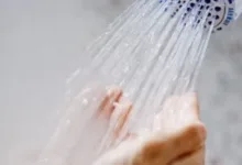 201908040425582558