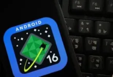 202606141227382738 181