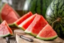 عميد معهد القلب الأسبق يحذر من حرارة الجو وينصح بتناول عصير القصب والبطيخ 32 20260720113002302 169