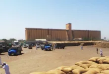 إنخفاض في اسعار الذرة بالقضارف وارتفاع في اسعار التسالي 36 FB IMG 1782904278411