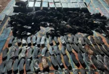 إحباط تهريب أسلحة وكمية من الذخائر بولاية نهر النيل 21 FB IMG 1782913593082