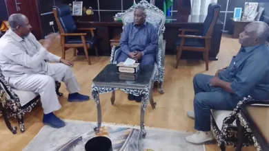 والي الجزيرة يشدد على الإسراع في تنفيذ (مدن الكرامة) لإسكان أسر الشهداء 2 FB IMG 1783348010851