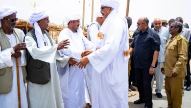 وزير الزراعة والري يتفقد مشروع دلتا طوكر الزراعي 2 FB IMG 1783772827140