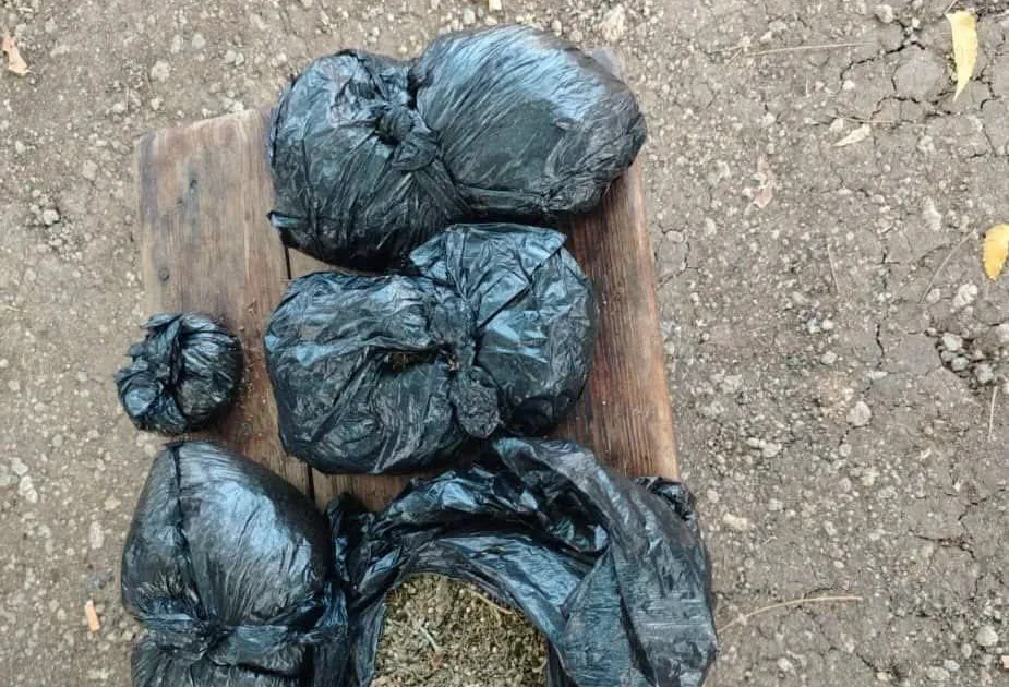 مكافحة المخدرات بسنار تضبط مواد مخدرة وتلقي القبض على متهم ينشط في ترويجها 4 FB IMG 1784206944926