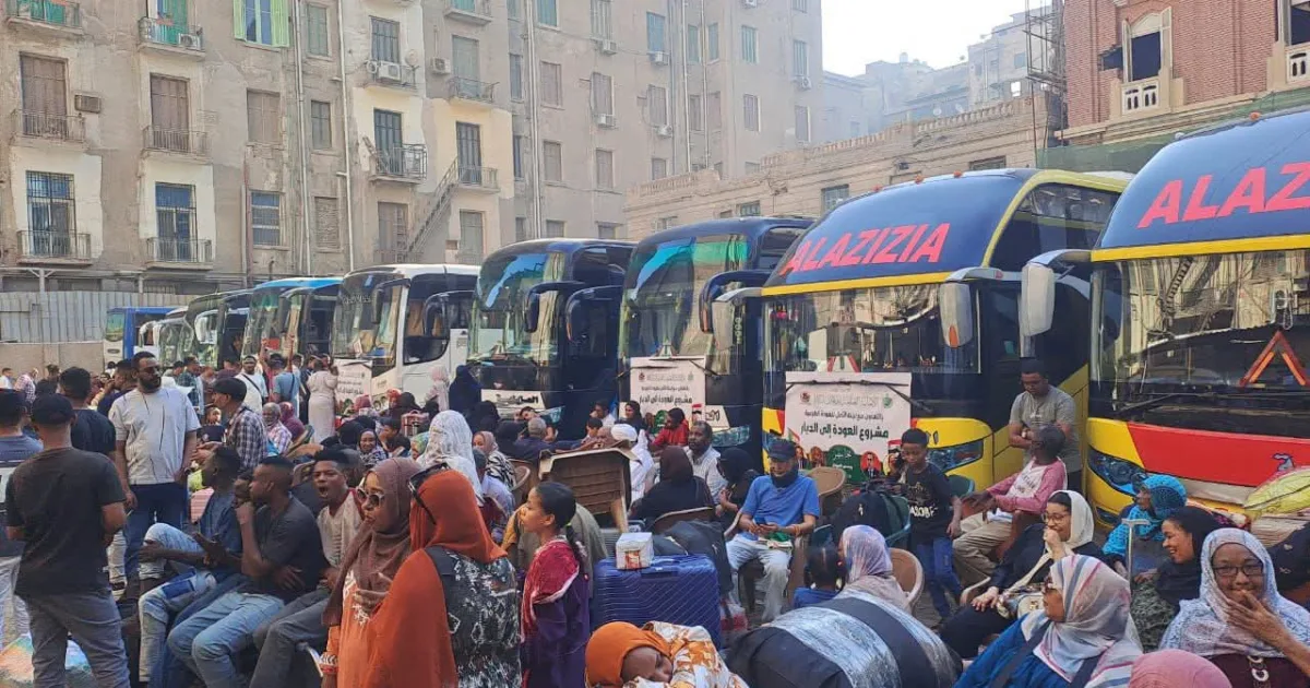 بدء تفويج أساتذة الجامعات والمعاهد العليا واسرهم من مصر 4 FB IMG 1784549953447