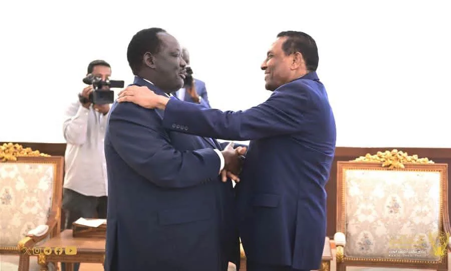 رئيس الوزراء يستقبل مستشار رئيس جمهورية جنوب السودان 6 FB IMG 1785335019164