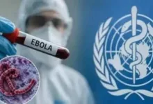 الصحة العالمية : 3605 حالات مؤكدة لإيبولا من سلالة بونديبوجيو منها 1587 وفاة 20 20260722040134134 169