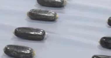 101 كبسولة كوكايين فى معدتها.. اعتقال أرجنتينية هربت مخدرات داخل جسدها 2 202608161255405540 238
