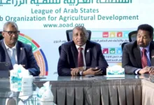 تدشين البرنامج الوطني لبناء القدرات وتعزيز التنمية والإنتاج في السودان 23 FB IMG 1786018106771