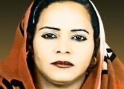 الحكومة .. المستثمر الذكي.! 10 8012