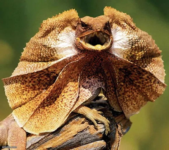 1022