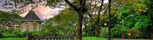 حدائق سنغافورة النباتية 10 1029