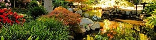 حدائق ديسكانسو كاليفورنيا الولايات المتحدة الأمريكية 10 1033