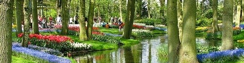 حدائق كوكينهوف هولندا 10 1037