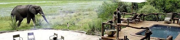 دلتا أوكافنجو.. جنة عدن الإفريقية 26 1173