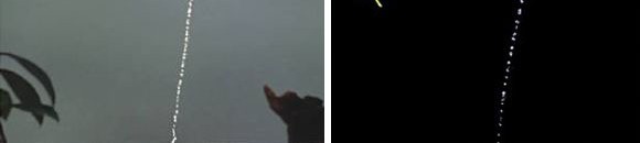 سمكة رامي السهام سمكة تصطاد فرائسها بسهام من الماء! 26 1342