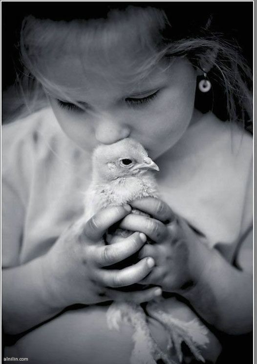 قريبا.. "حليب العصفور" دواءً ناجع 1 1560