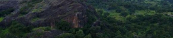 تحذير جديد.. القادم أسوأ بسبب "التغير المناخي" 10 1573