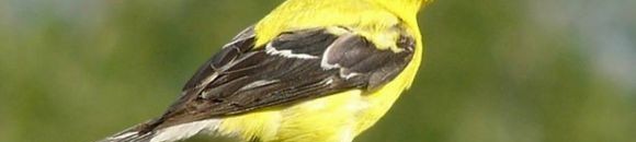 سواء كان في الحياة العملية، الأكاديمية أو الاجتماعية، الانتماء ما رفاهية! 11 1575