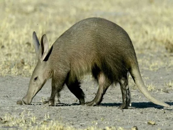 1602