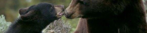 30 خرافة طريفة حول العالم .. بينها اثنتين في مصر 10 1631