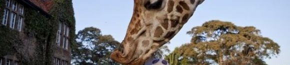 دراسة أميركية: الإنسان هو أخطر كائن على كوكب الأرض 10 1642