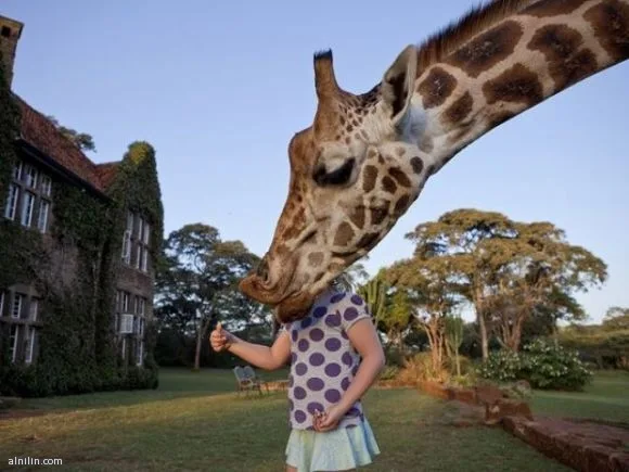 1642